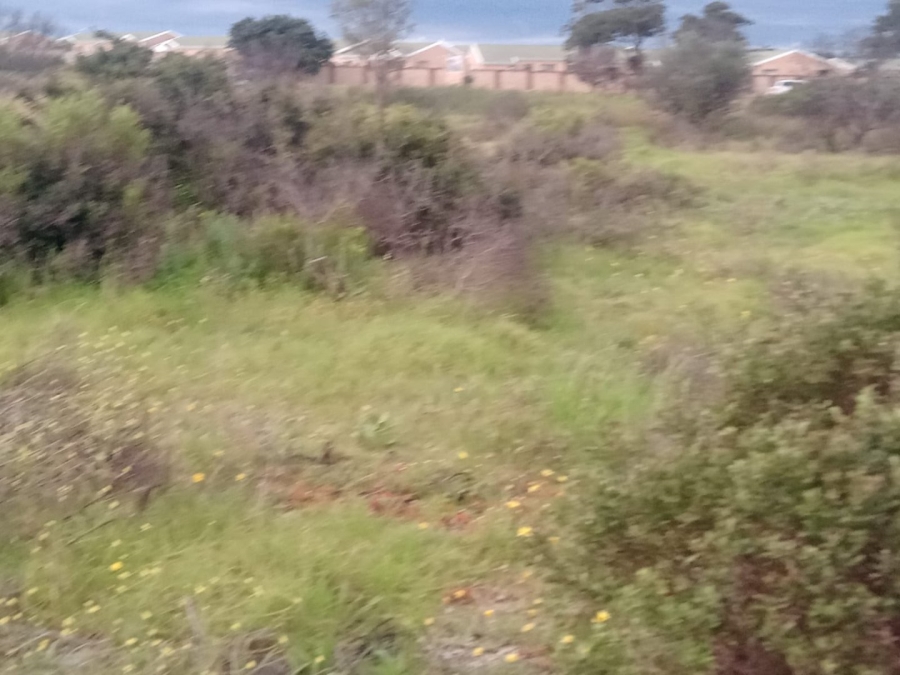  Bedroom Property for Sale in Fountains Estate Eastern Cape